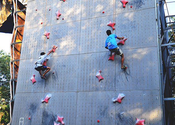 ifsc-speed-walls